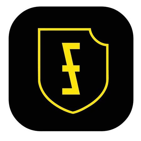 WW2 Dice - Feldherrnhalle Divison Dice