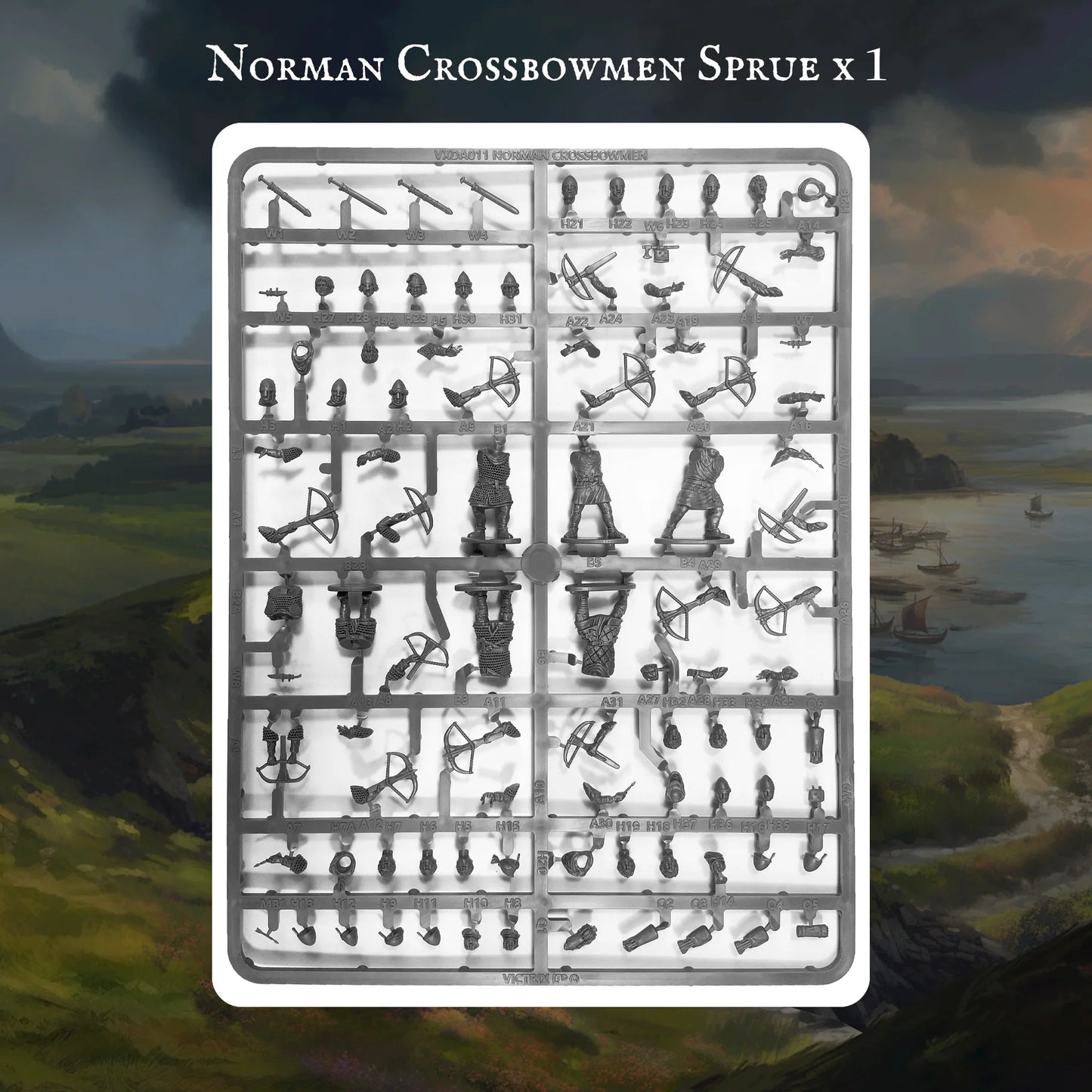 Victrix: Norman Warband Pillage